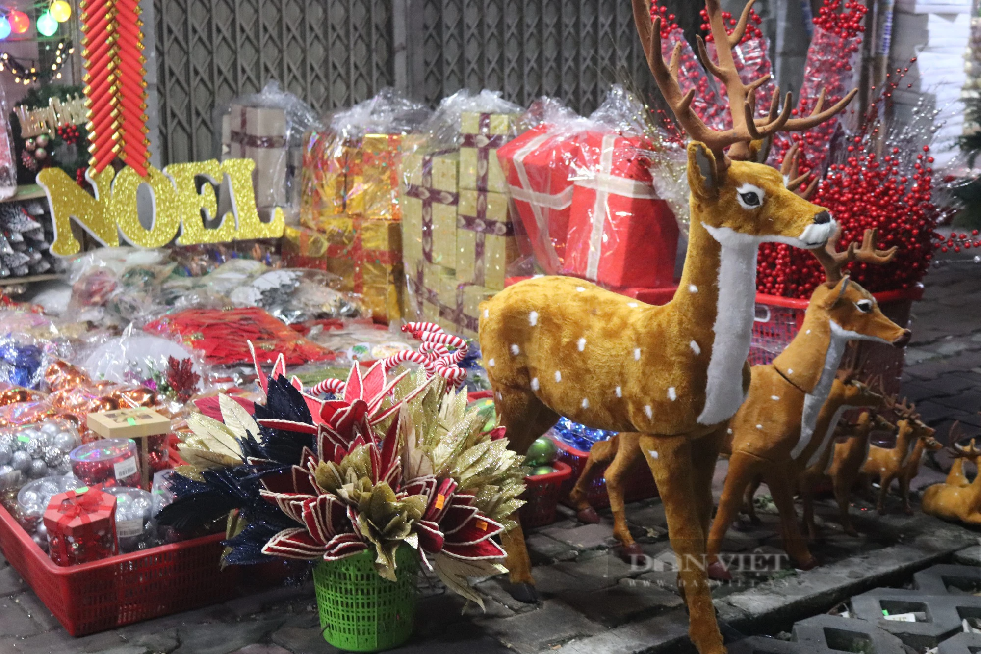 Con đường Giáng sinh lớn nhất Sài Gòn đã “lên đồ”, khách tấp nập mua thông về chơi Noel sớm - Ảnh 2.