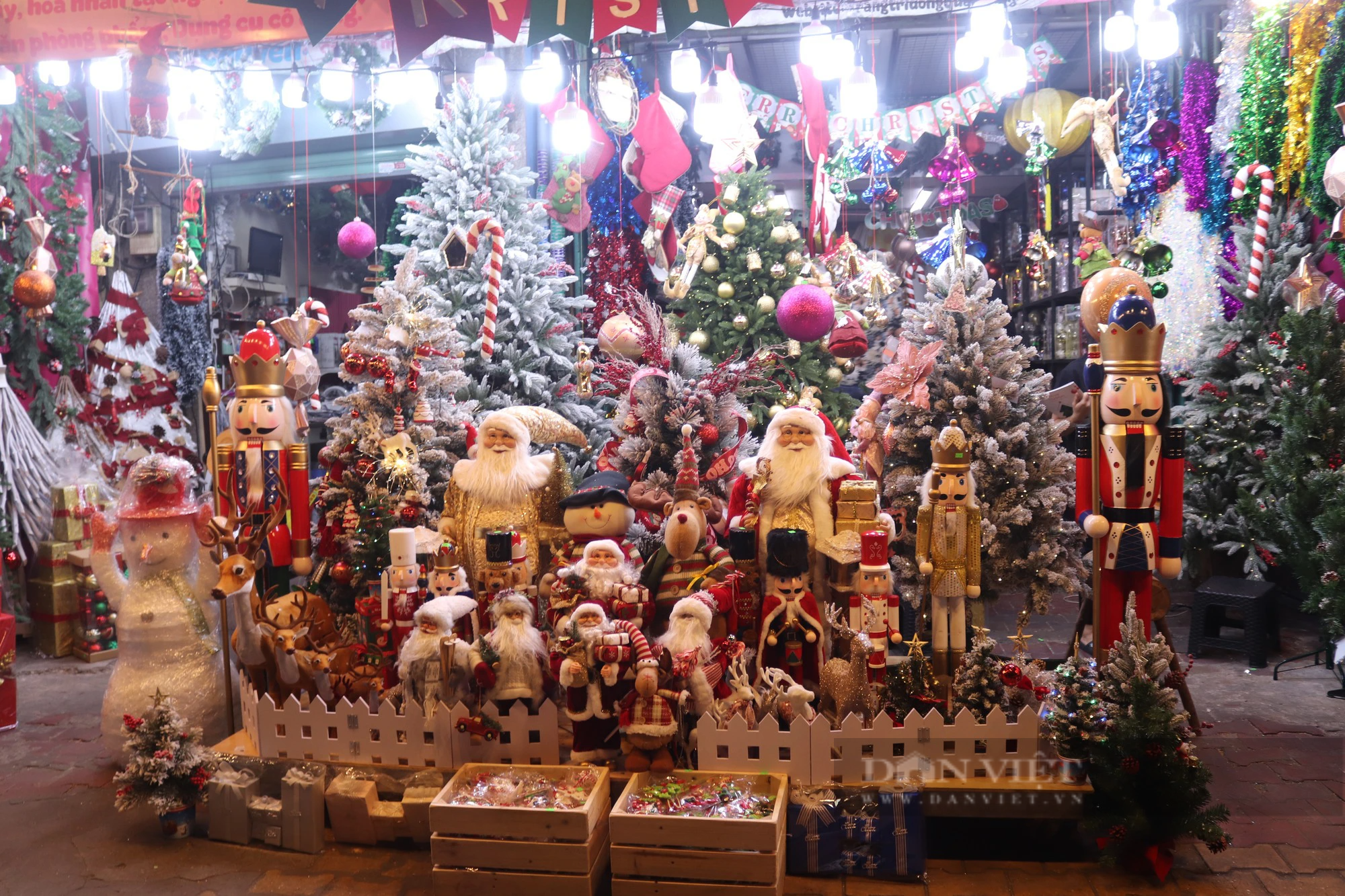 Con đường Giáng sinh lớn nhất Sài Gòn đã “lên đồ”, khách tấp nập mua thông về chơi Noel sớm - Ảnh 4.