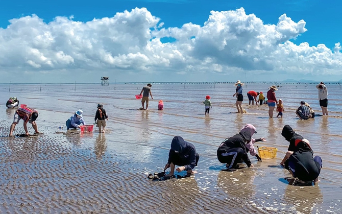 Sau những thăng trầm, chứng nhận ASC giúp nghề nuôi nghêu của Tiền Giang thêm nhiều cơ hội