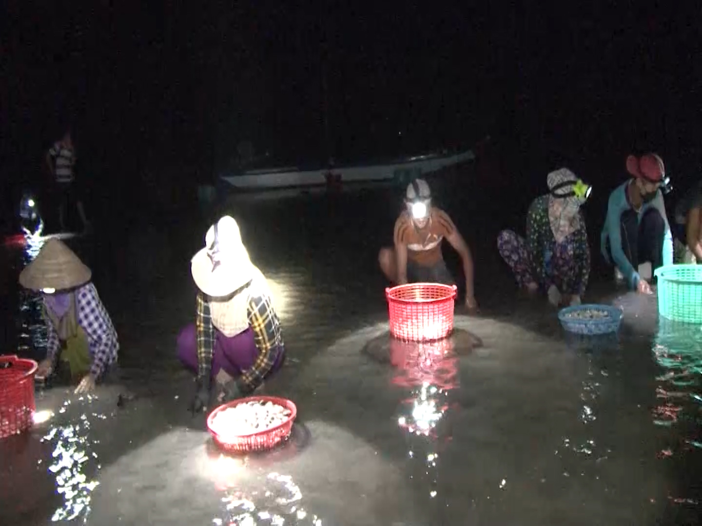 Nông dân Cà Mau “dồn” 40 kg nghêu tươi vào một kí nghêu khô bán giá 1 triệu đồng - Ảnh 2.