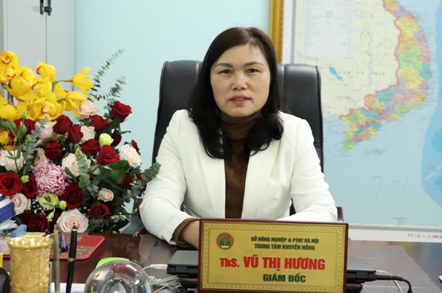 Giám đốc Trung tâm Khuyến nông Hà Nội: Chuyển đổi số - “chìa khóa” cho nông nghiệp bứt phá - Ảnh 1.