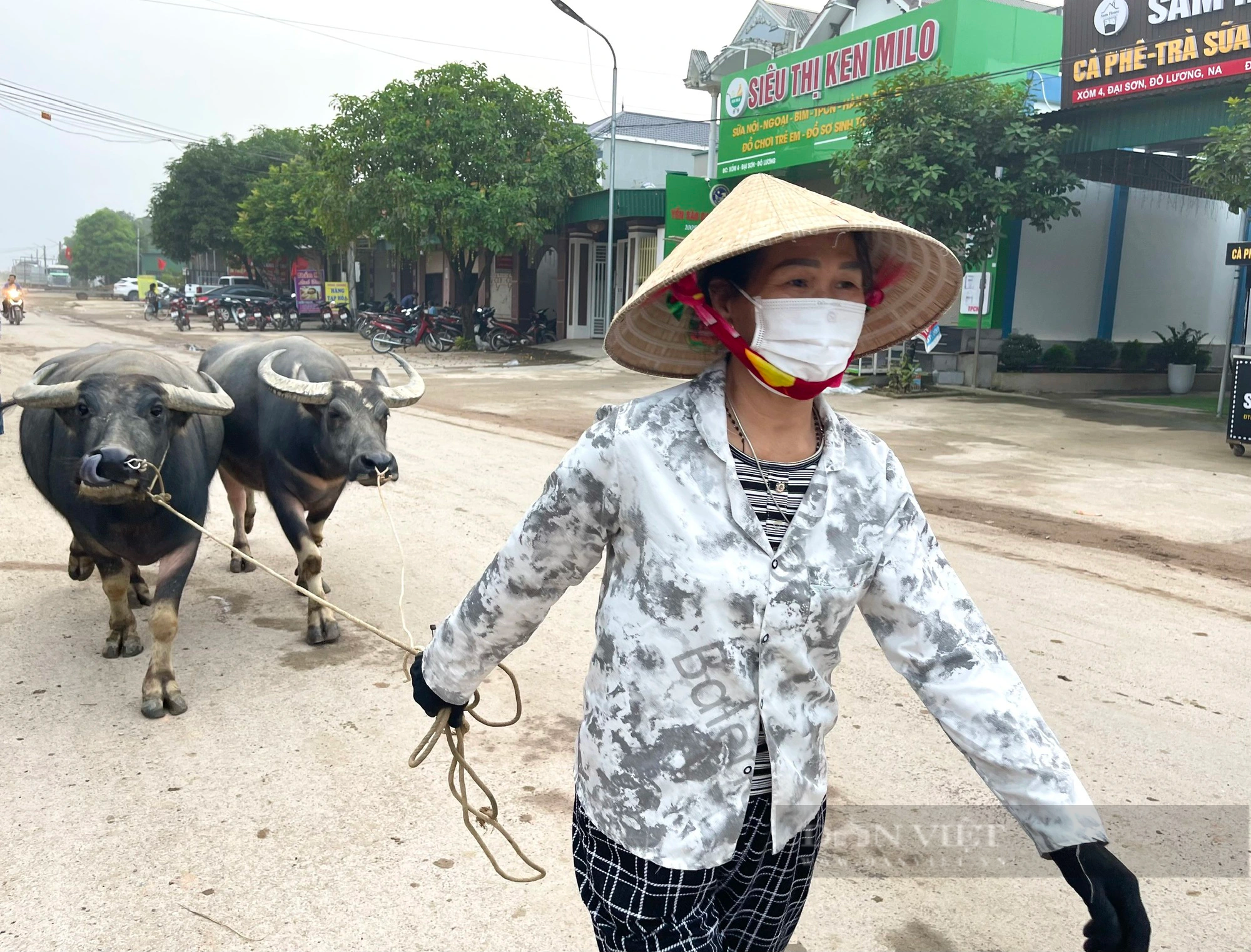 Chợ trâu, bò lớn nhất cả nước ở Nghệ An, nơi mưu sinh của hàng trăm nông dân - Ảnh 6.