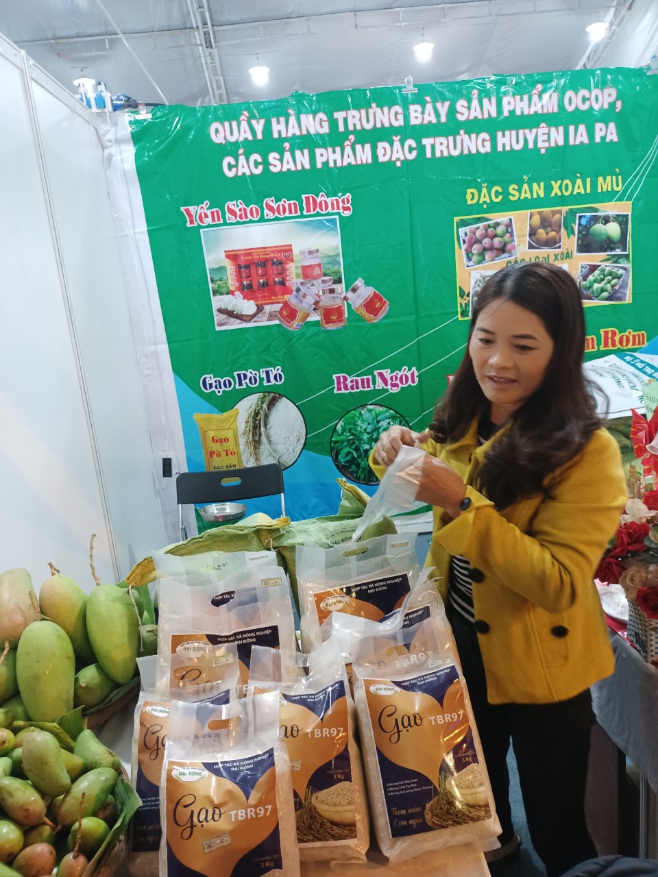 Vì sao gạo TBR97 lại được chọn để xây dựng thương hiệu gạo Ia Pa, sản phẩm OCOP của tỉnh Gia Lai - Ảnh 2.