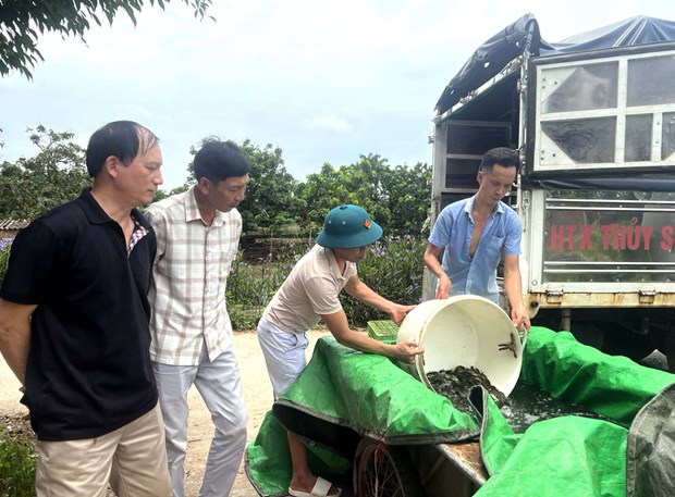 Mô hình nuôi ghép cá chép trong ao ở Hưng Yên, con nào bắt lên cũng đẹp, cứ 1ha, nông dân thu 8,5 tấn - Ảnh 1.