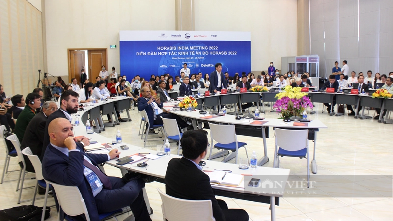 Một phiên thảo luận tại Diễn đàn Hợp tác kinh tế châu Á Horasis 2022 ở Bình Dương. Ảnh: Trần Khánh