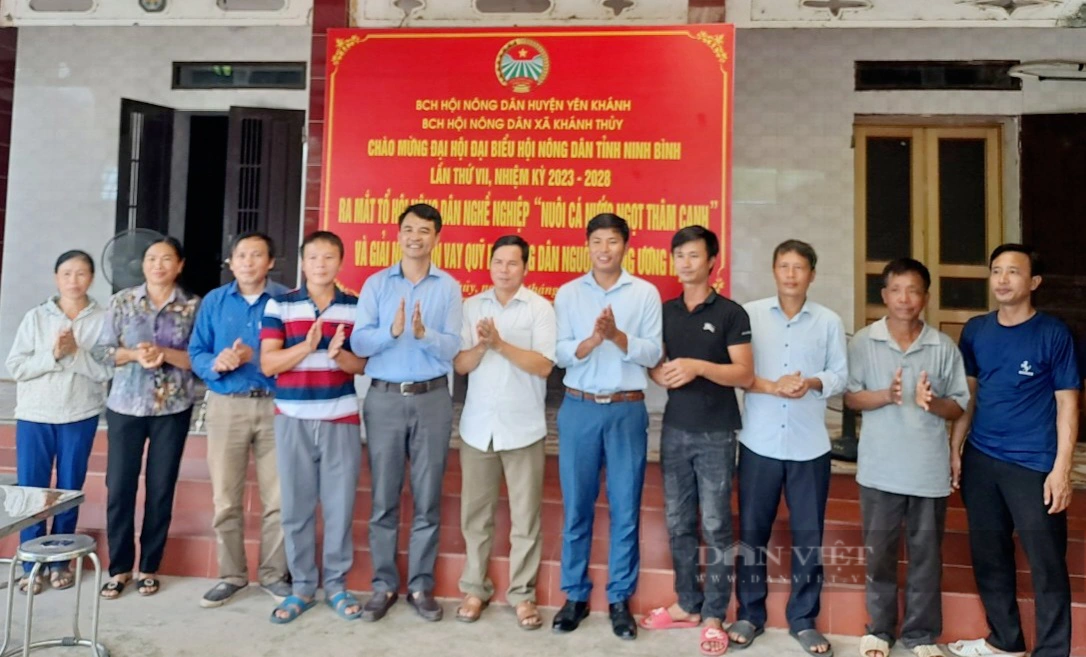 Hướng đến Đại hội VIII Hội Nông dân Việt nam: Điểm sáng từ các Chi, tổ Hội nông dân nghề nghiệp ở Ninh Bình - Ảnh 3.