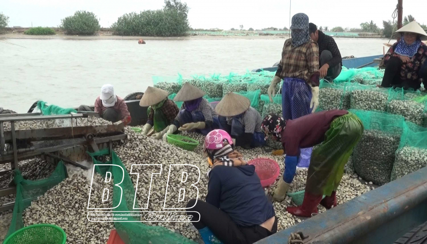 Ở huyện này của Thái Bình, cứ 1ha nuôi trồng thủy sản đạt giá trị kinh tế hơn 456 triệu đồng - Ảnh 1.