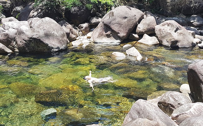 Một nơi cách trung tâm TP Huế 50km nước trong văn vắt, la liệt hòn đá hình thù kỳ dị