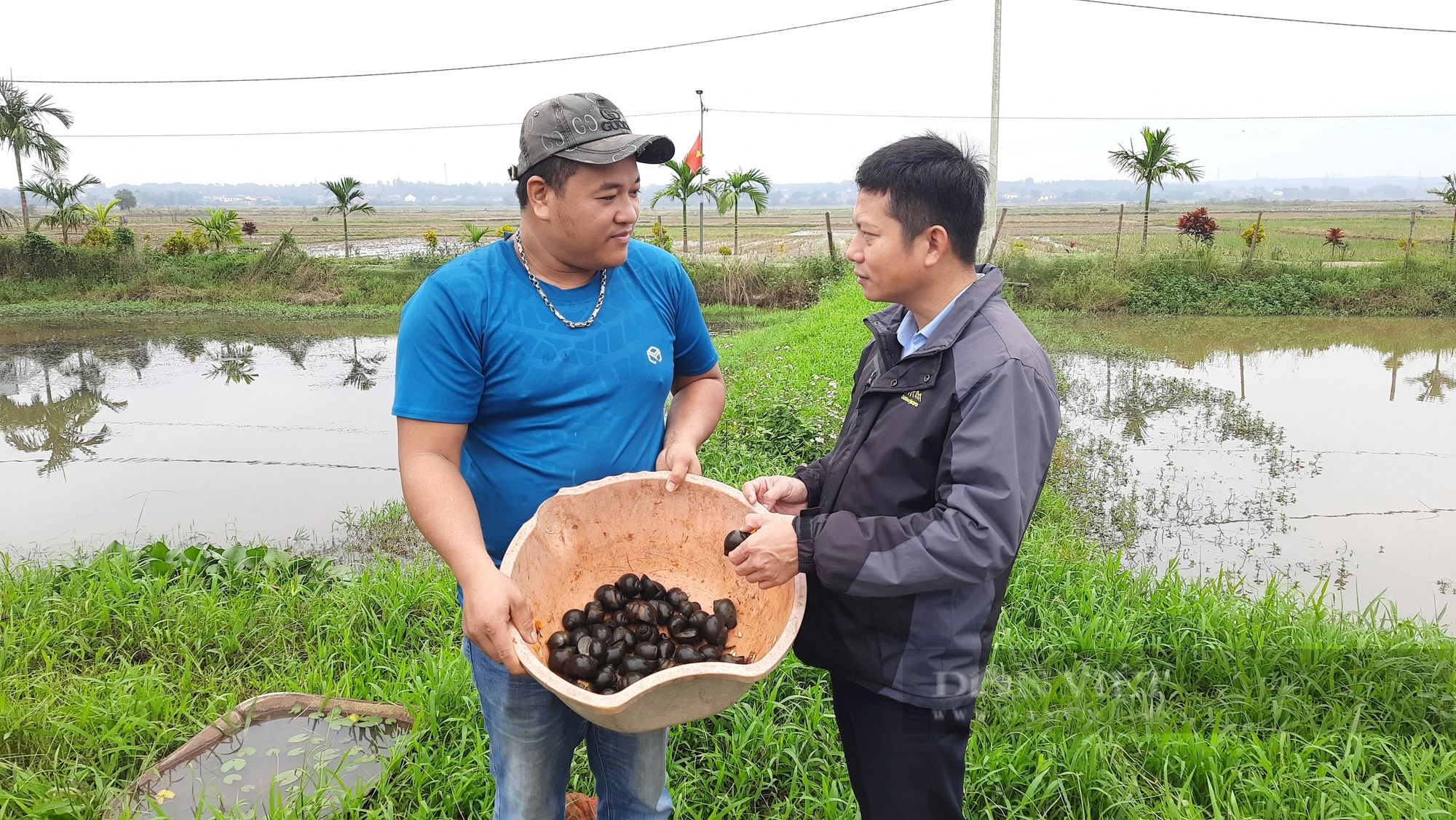 Chàng trai Quảng Trị “giấu” hàng trăm triệu đồng dưới ao đất - Ảnh 1.