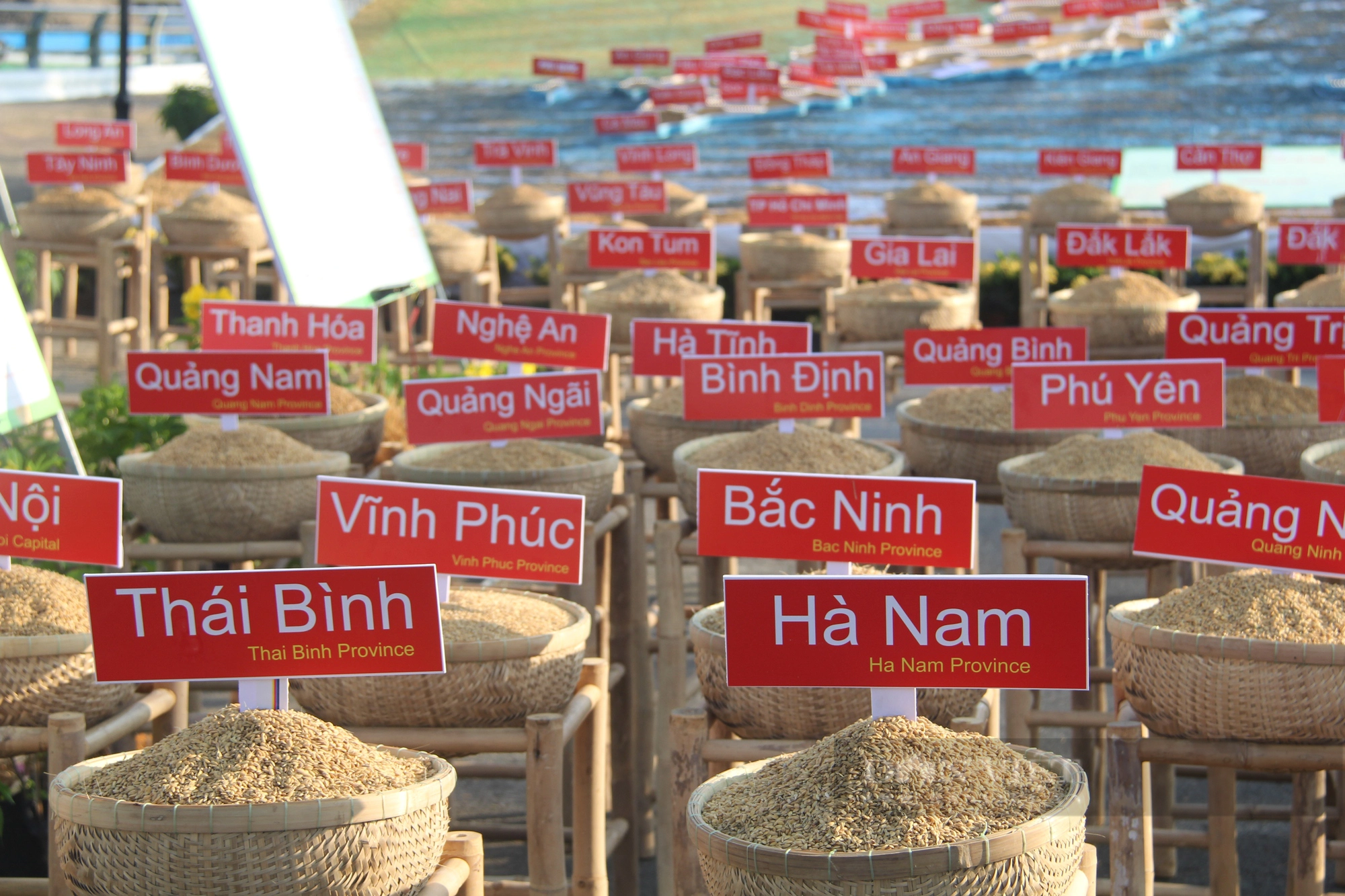 Ngắm bản đồ lúa gạo Việt Nam được xác lập kỷ lục - Ảnh 3.