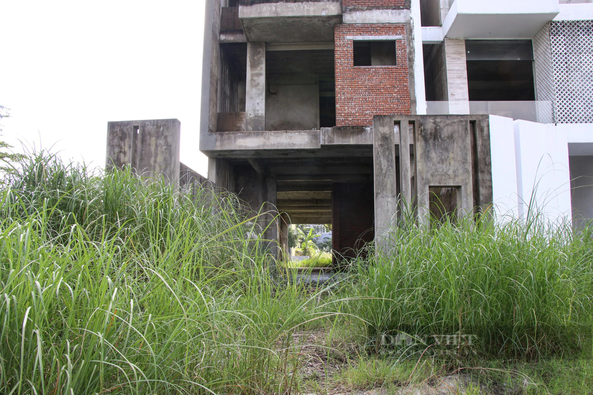  Loạt shophouse tiền tỷ bỏ hoang, rêu mốc, cỏ mọc um tùm tại Đà Nẵng - Ảnh 4.