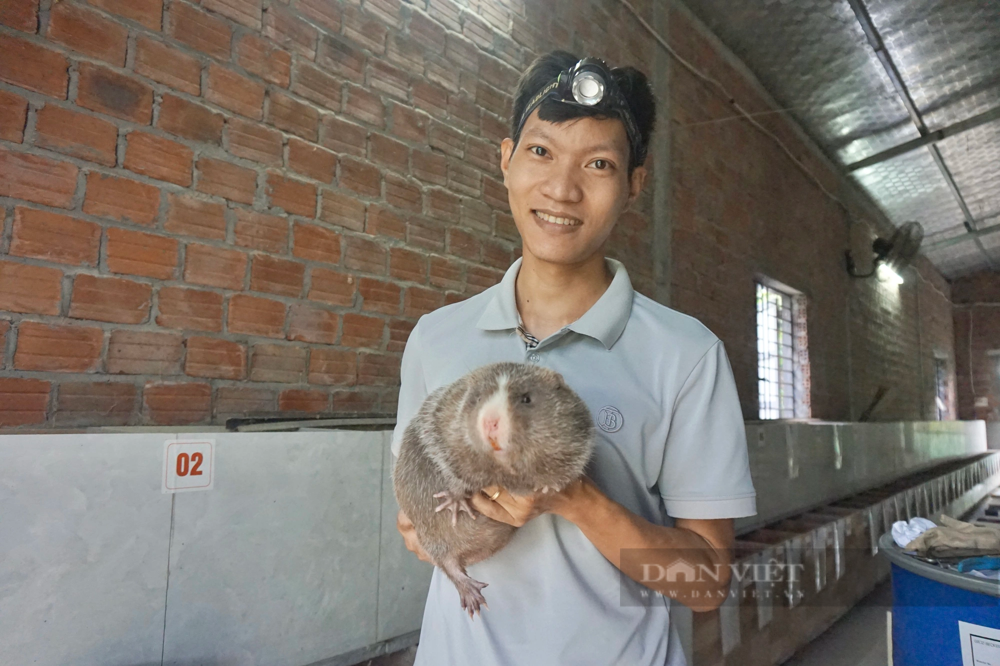 Quảng Nam: 9X khởi nghiệp nuôi loài chuột “khổng lồ”, chỉ ăn tre mía mà cho lãi cao  - Ảnh 7.
