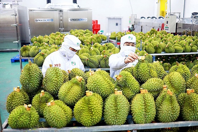 Xuất khẩu rau quả sang Trung Quốc kỳ vọng ‘bùng nổ’ - Ảnh 1.