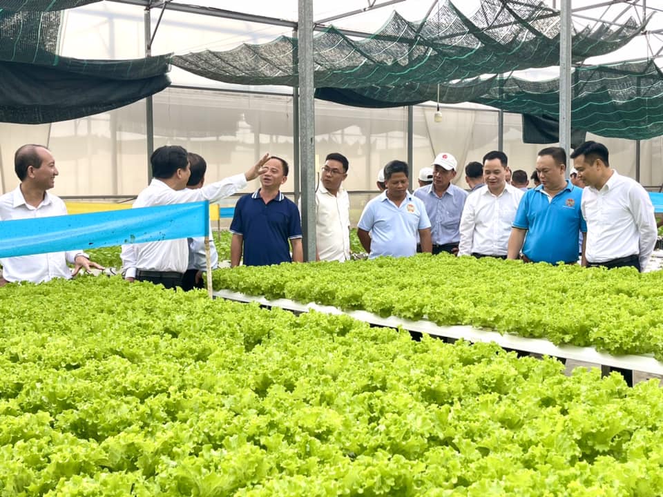 Hội nông dân TP.HCM tham quan, học tập nông nghiệp công nghệ cao tại Hà Nội, Hưng Yên - Ảnh 3.