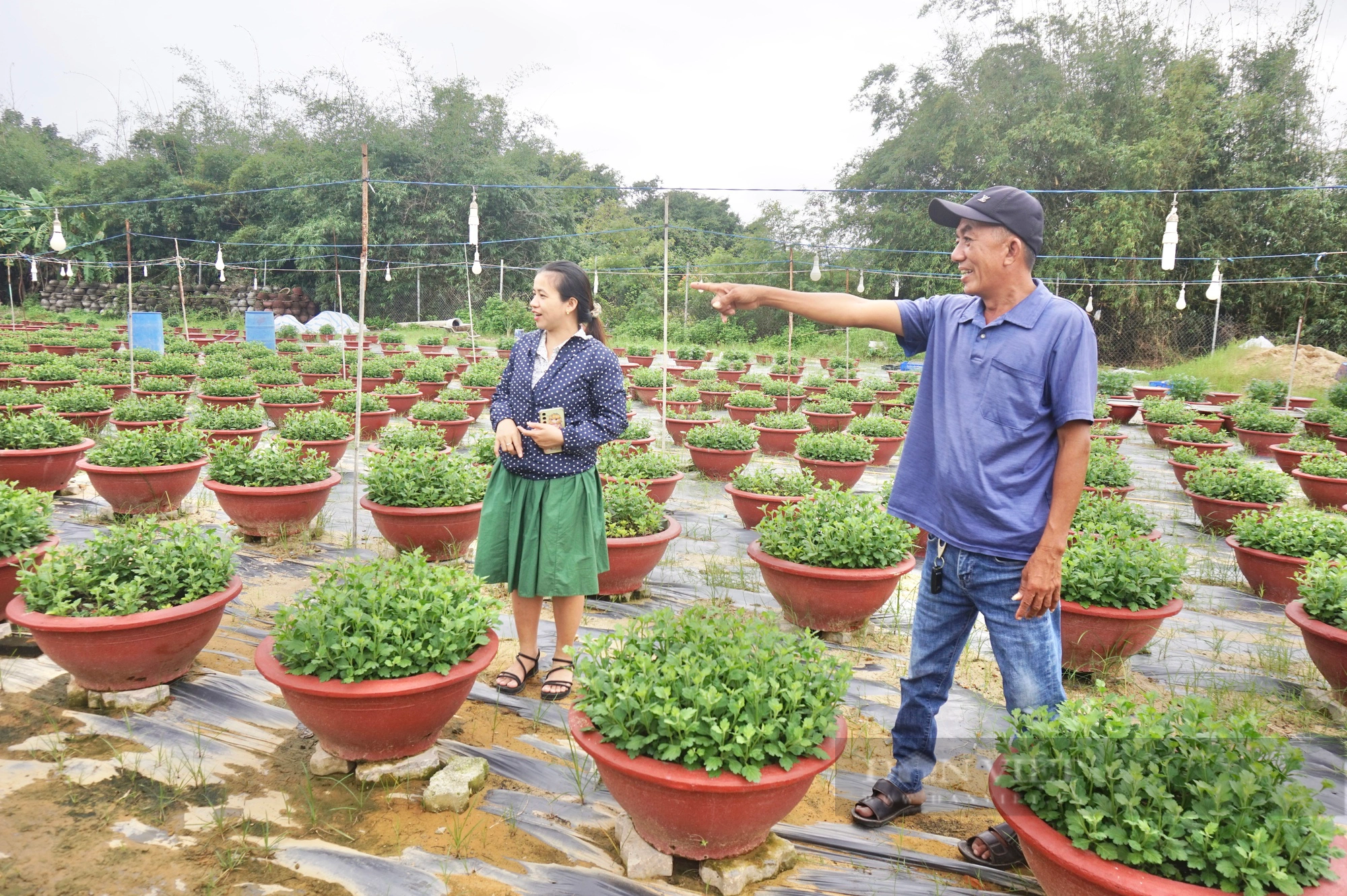 Đà Nẵng: Nguồn lực của Hội tiếp sức cho nông dân Hòa Xuân mạnh dạn làm kinh tế- Ảnh 2.