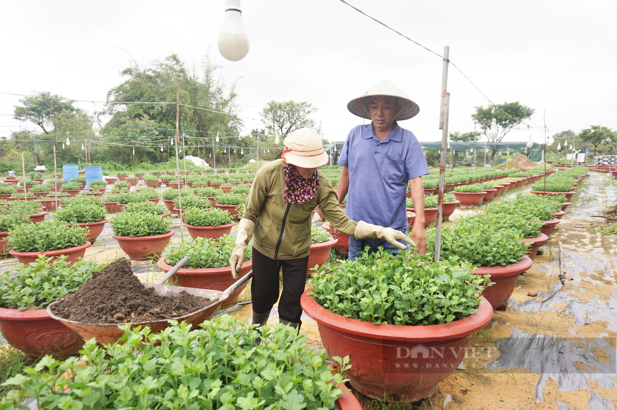 Đà Nẵng: Nguồn lực của Hội tiếp sức cho nông dân Hòa Xuân mạnh dạn làm kinh tế- Ảnh 3.
