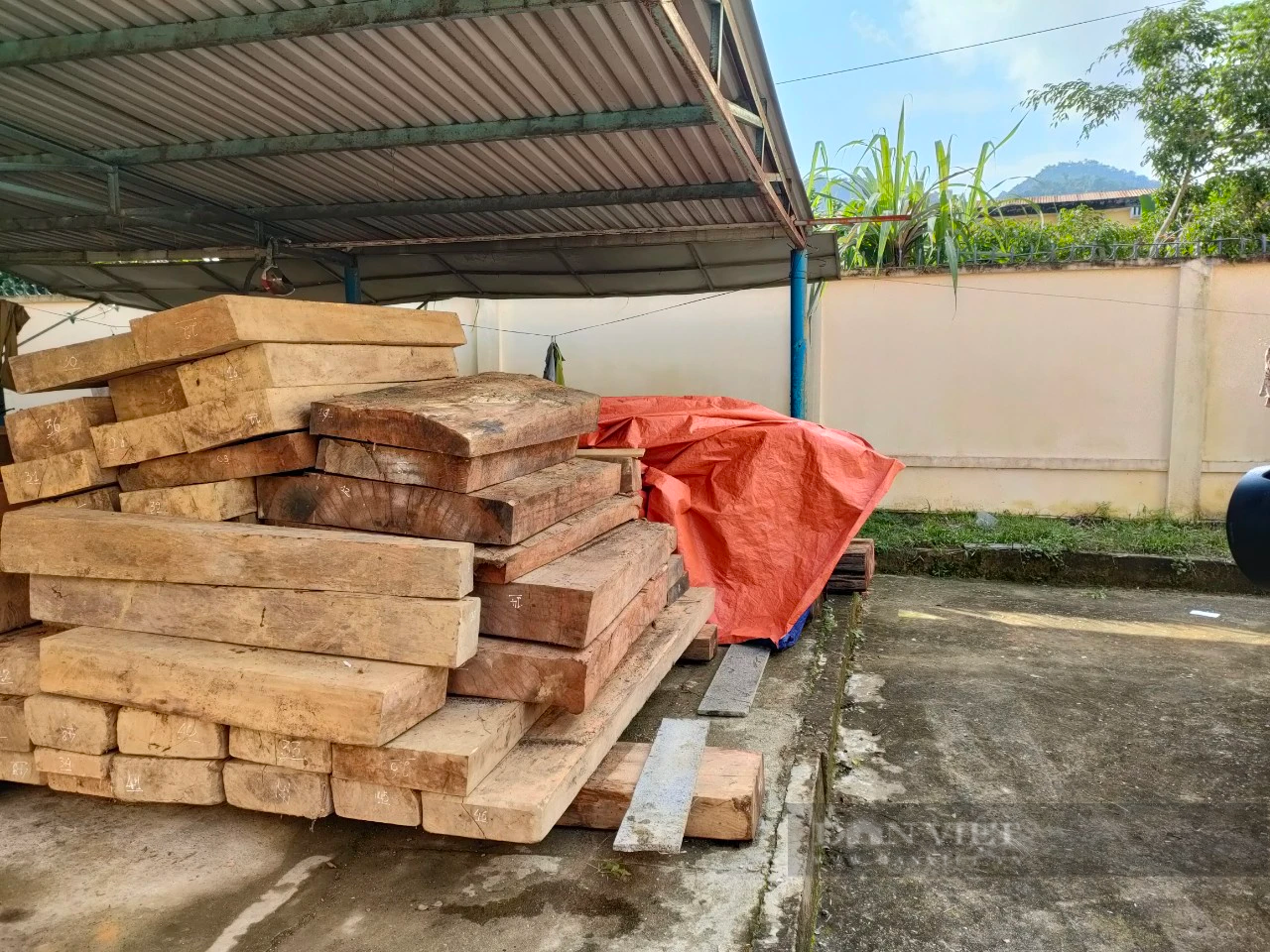 Phạt chủ gỗ cất giấu hơn 5,6m3 gỗ trong đất của Trưởng phòng nội vụ huyện ở Quảng Nam - Ảnh 1.