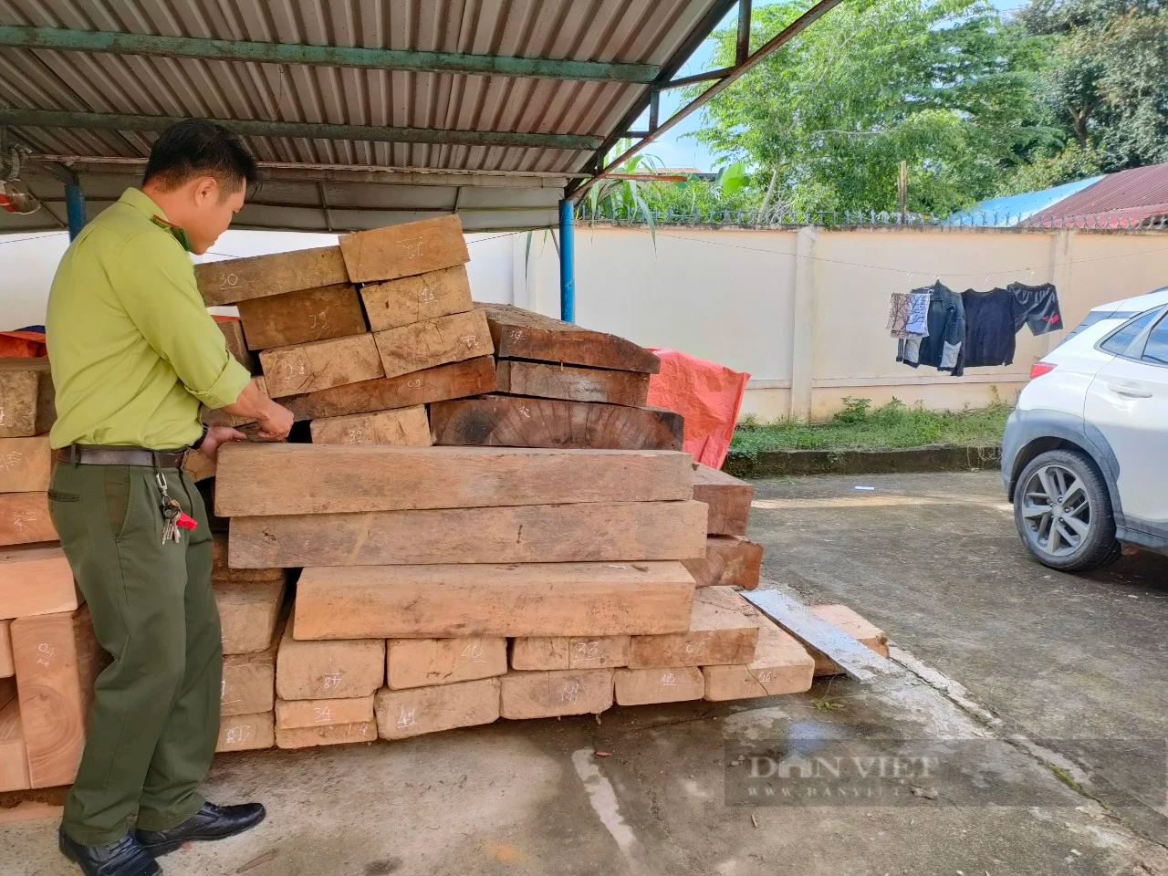 Phạt chủ gỗ cất giấu hơn 5,6m3 gỗ trong đất của Trưởng phòng nội vụ huyện ở Quảng Nam - Ảnh 2.