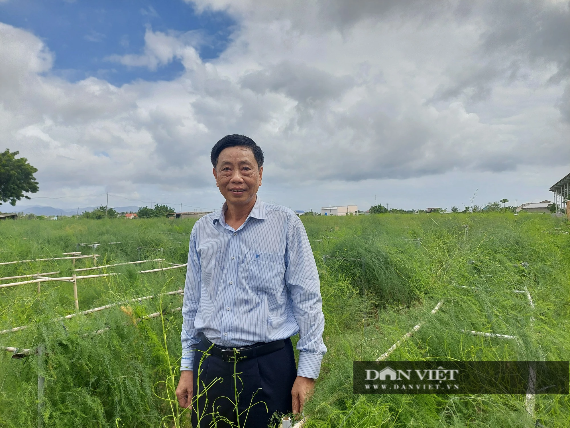 Ninh Thuận: Đưa nước ngọt về thôn xã, nông dân trúng sinh kế làm giàu - Ảnh 2.