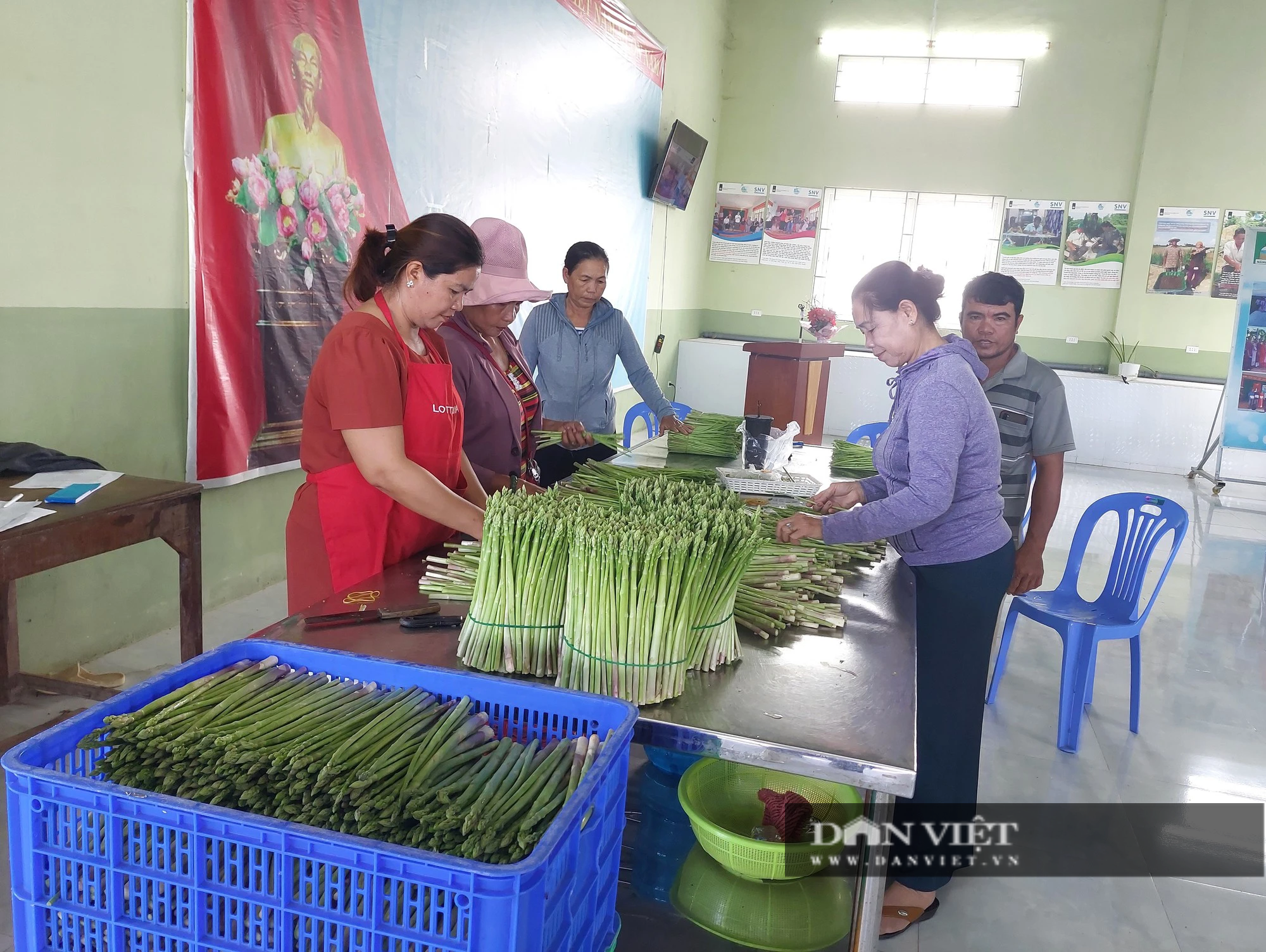 Ninh Thuận: Đưa nước ngọt về thôn xã, nông dân trúng sinh kế làm giàu - Ảnh 4.