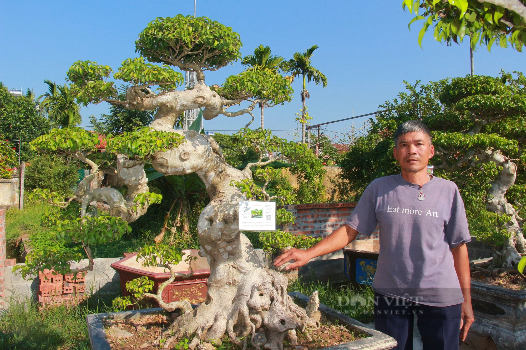 Chăn nuôi không hiệu quả, anh nông dân Nam Định chuyển sang kinh doanh cây cảnh, nào ngờ thắng lớn - Ảnh 4.