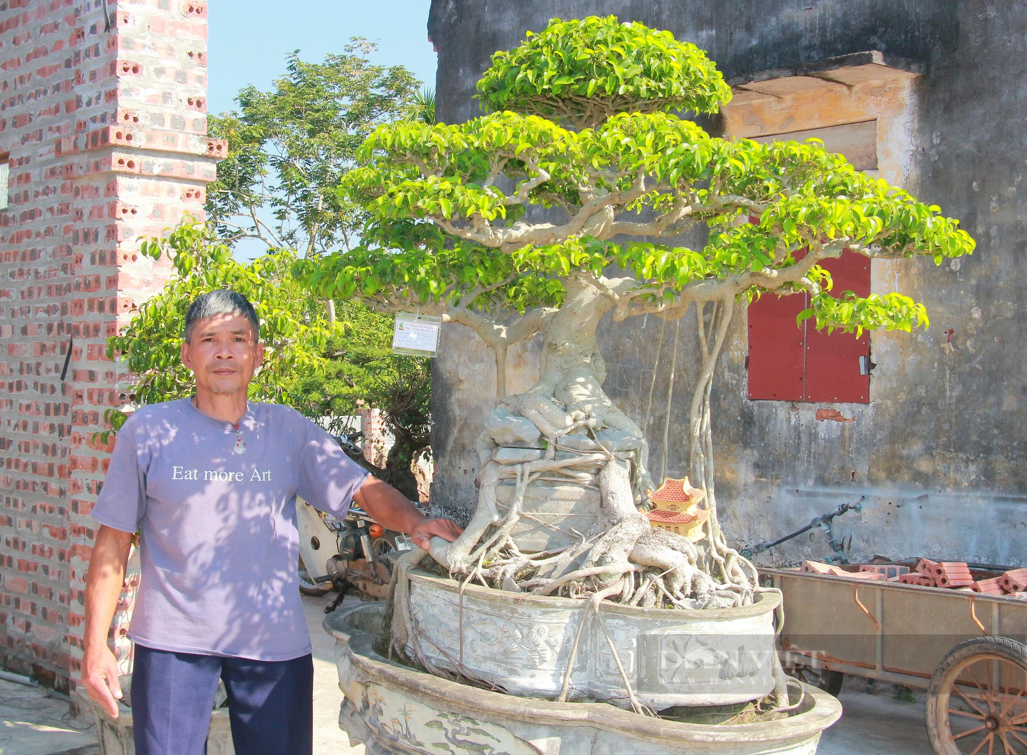 Chăn nuôi không hiệu quả, anh nông dân Nam Định chuyển sang kinh doanh cây cảnh, nào ngờ thắng lớn - Ảnh 5.