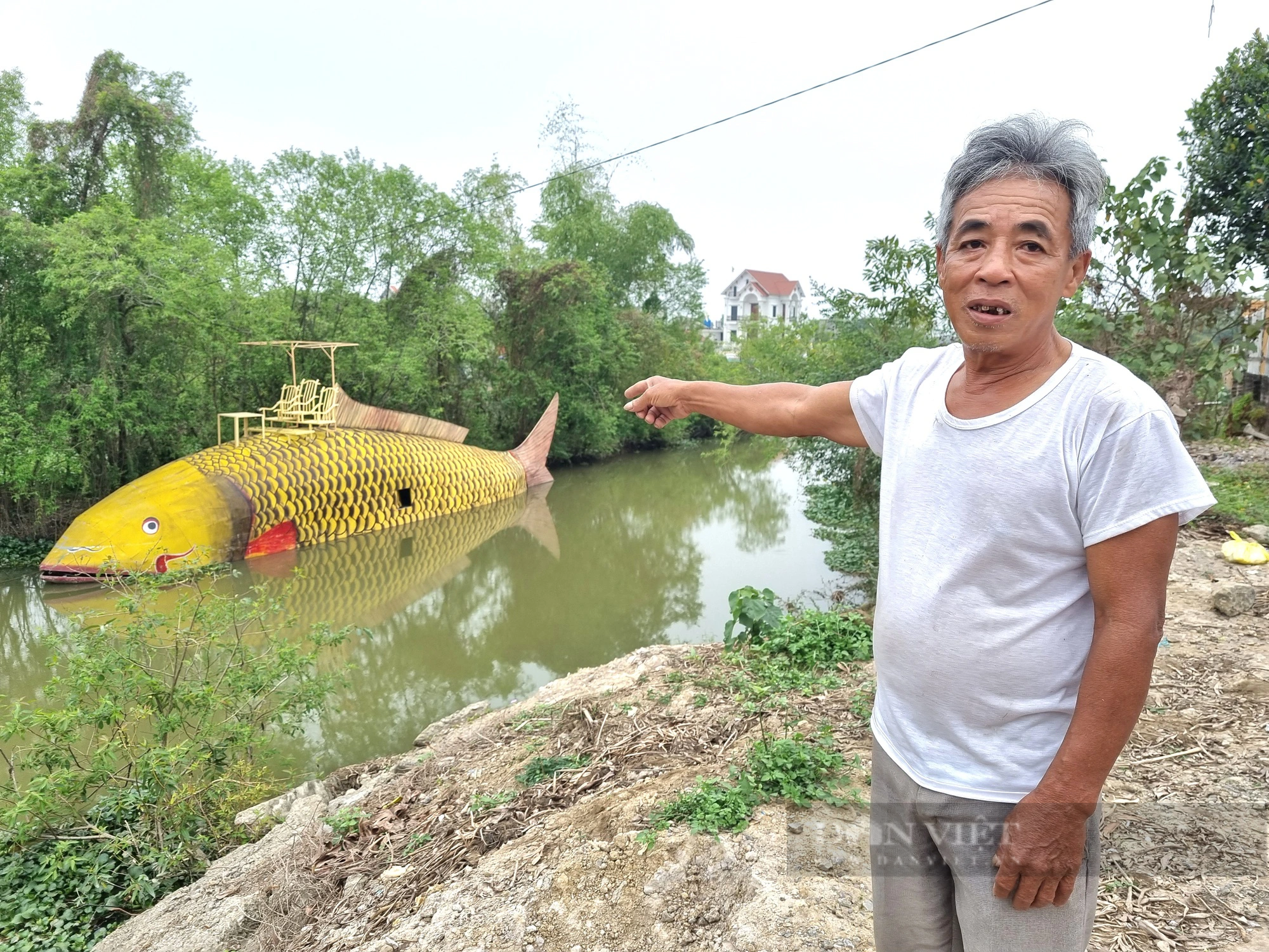 Bất ngờ con cá chép vàng nặng gần 1.000kg xuất hiện trên sông Hoàng Long ở Ninh Bình - Ảnh 3.
