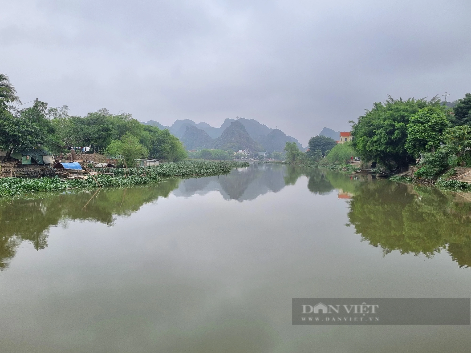Bất ngờ con cá chép vàng nặng gần 1.000kg xuất hiện trên sông Hoàng Long ở Ninh Bình - Ảnh 6.