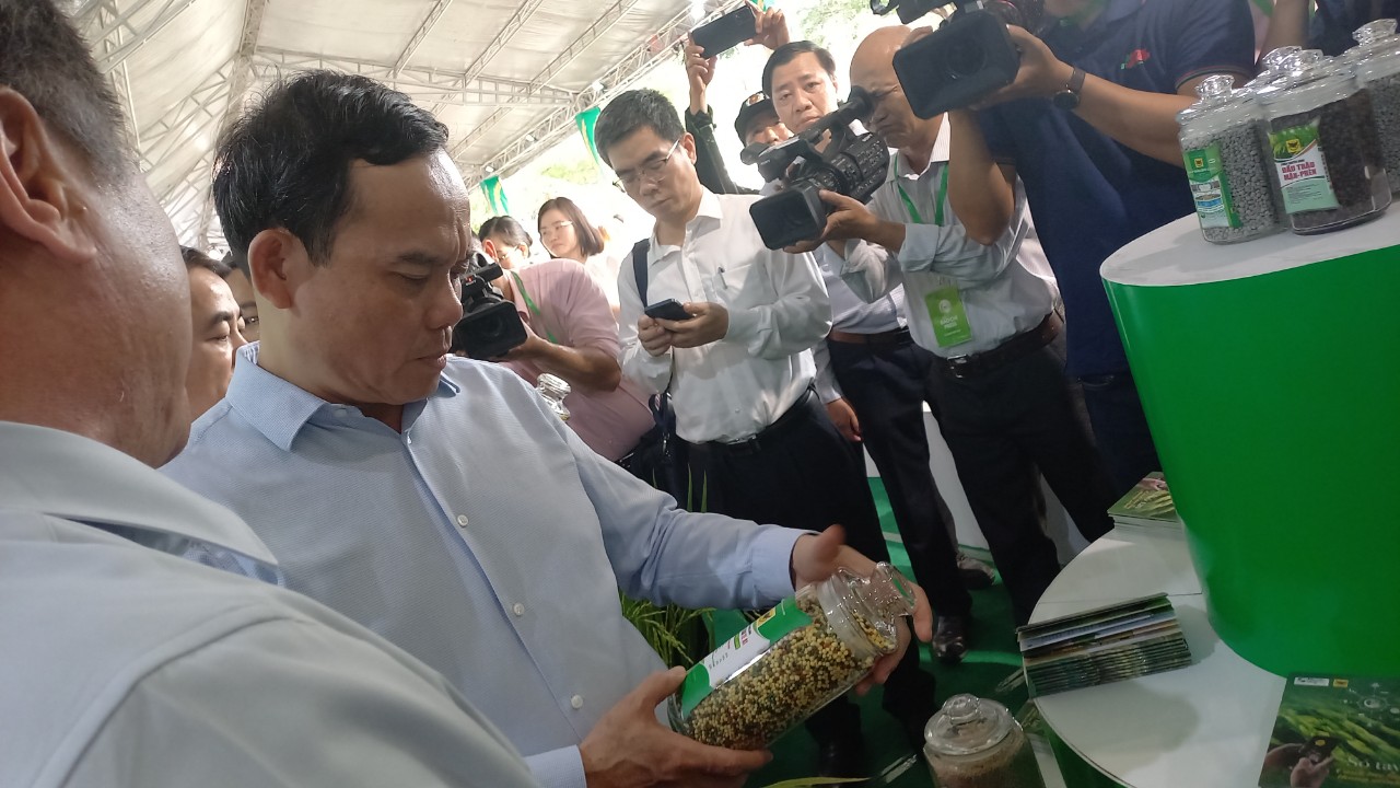 Bình Điền đóng góp ý tưởng cho đề án một triệu ha chuyên canh lúa chất lượng cao - Ảnh 9.