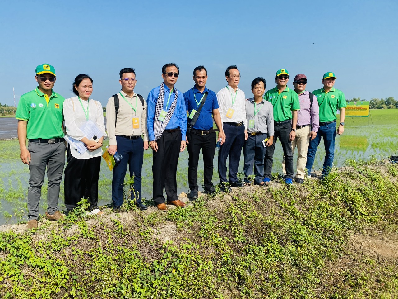 Bình Điền đóng góp ý tưởng cho đề án một triệu ha chuyên canh lúa chất lượng cao - Ảnh 1.