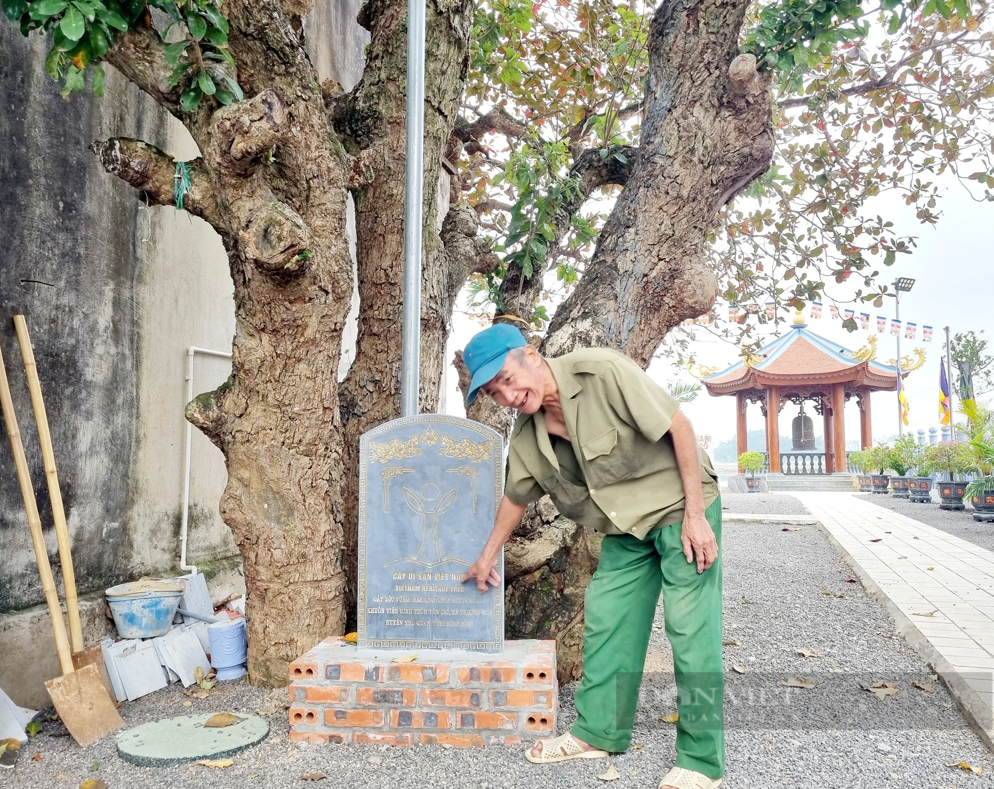 Một ngôi đình ở Ninh Bình thờ Tam vị Thánh Tản, bao quanh có 4 cây cổ thụ được công nhận cây Di sản - Ảnh 4.