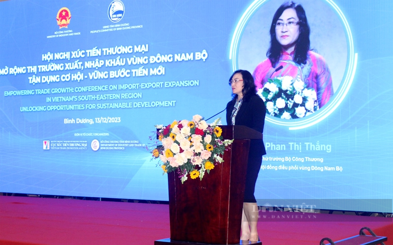 Bà Phan Thị Thắng – Thứ trưởng Bộ Công Thương phát biểu tại Hội nghị Xúc tiến thương mại, mở rộng thị trường xuất nhập khẩu vùng Đông Nam bộ. Ảnh: Nguyên Vỹ