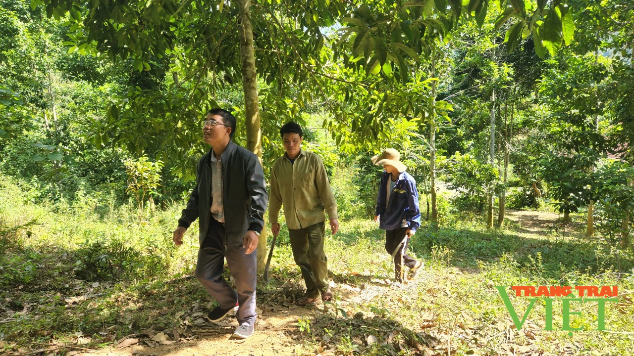 Chi trả dịch vụ môi trường rừng: Góp phần thay đổi diện mạo nông thôn ở Lai Châu - Ảnh 1.
