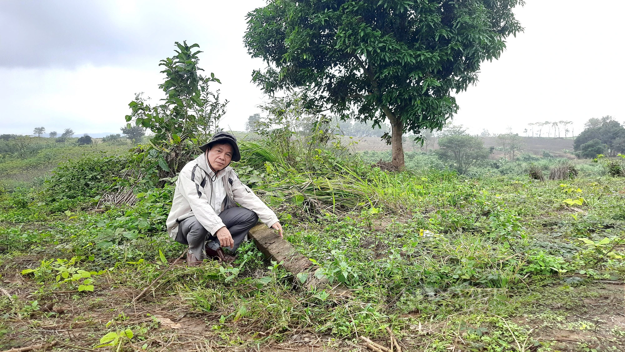Vụ phá rừng chiếm 30ha đất ở Quảng Trị: Đại biểu Quốc hội lên tiếng - Ảnh 6.