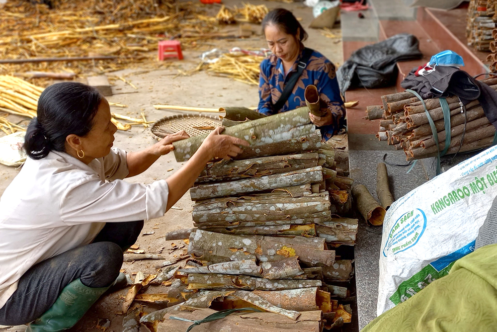 Năm 2023, tỷ lệ hộ nghèo tỉnh Phú Thọ giảm xuống còn 4,49% - Ảnh 3.