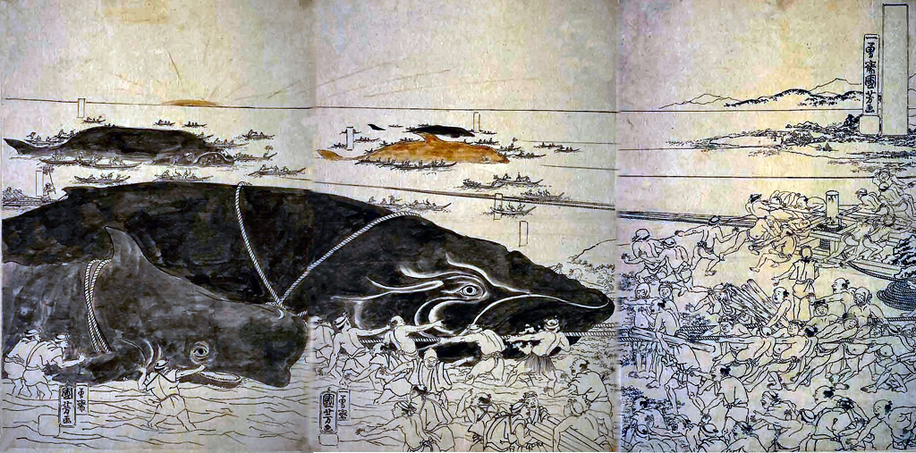 Bí ẩn lời nguyền đáng sợ của quái vật biển Bakekujira: Kẻ khổng lồ trở về từ cõi chết - Ảnh 3.