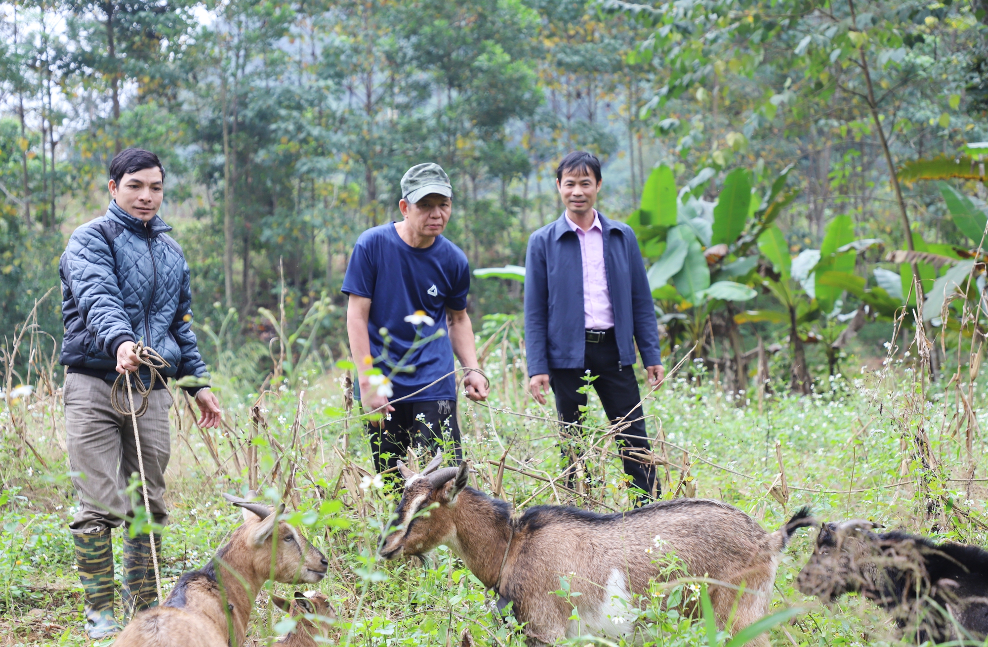 NTM Hà Giang: Xã vùng 3 Yên Hà quyết tâm duy trì và nâng cao chất lượng tiêu chí nông thôn mới - Ảnh 2.