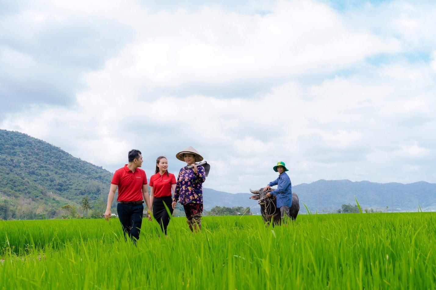 Agribank cung cấp sản phẩm dịch vụ thực hiện phát triển bền vững 1 triệu ha lúa chất lượng cao gắn với tăng trưởng xanh - Ảnh 2.