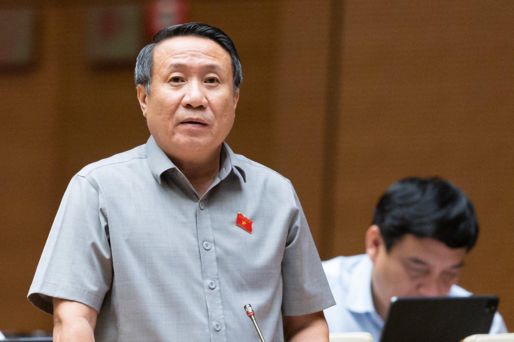 Vụ phá rừng chiếm 30ha đất ở Quảng Trị: Đại biểu Quốc hội lên tiếng - Ảnh 1.