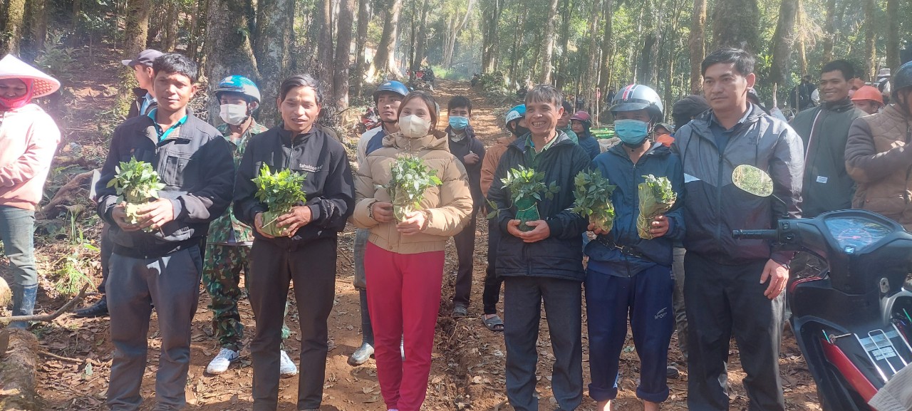 300 hộ nghèo ở Kon Tum vui mừng vì nhận cây sâm Ngọc Linh giống do Thủ tướng tặng - Ảnh 2.