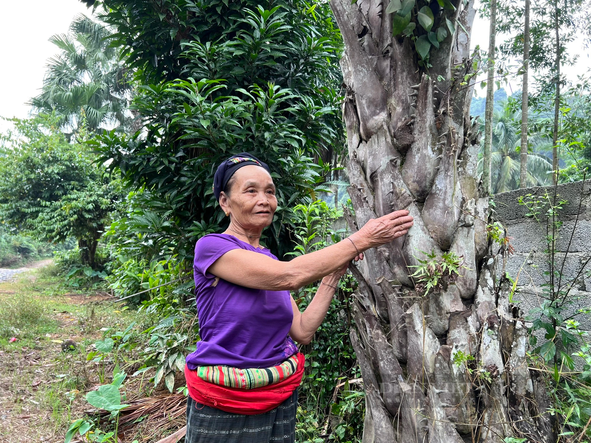 14 năm, 119 hộ dân thôn Thanh Sơn, huyện Như Xuân (Thanh Hoá) “nằm chờ” tái định cư của dự án thủy điện Bản Mồng - Ảnh 4.