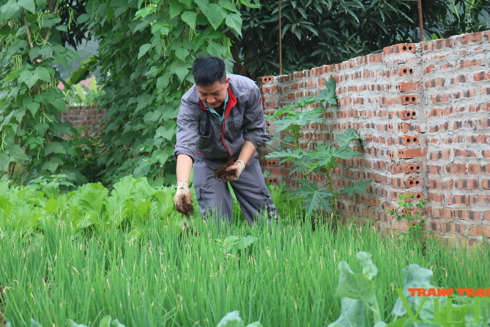 Nông dân Lào Cai tham quan, học hỏi kinh nghiệm mô hình xử lý rác thải hữu cơ - Ảnh 3.