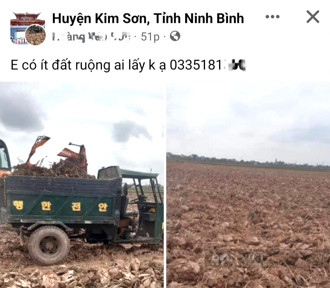 Khai thác đất mặt ruộng trái phép trên cánh đồng ở Ninh Bình - Ảnh 9.