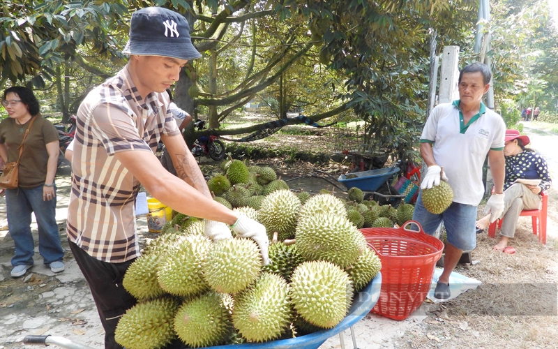 Thị trường tiêu dùng Trung Quốc có nhu cầu rất lớn về thực phẩm. Ảnh minh họa: Nguyên Vỹ