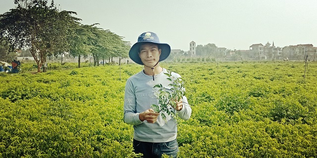 Cánh đồng bao la bát ngát trồng thứ rau tốt um, ăn ngọt như mì chính ở Hà Nội, thu 3 tỷ/năm - Ảnh 2.