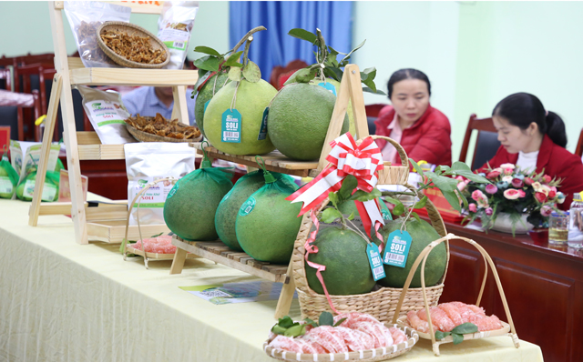 Huyện duy nhất “trắng” sản phẩm OCOP ở Quảng Ngãi sắp trình làng sản phẩm OCOP đầu tiên   - Ảnh 5.
