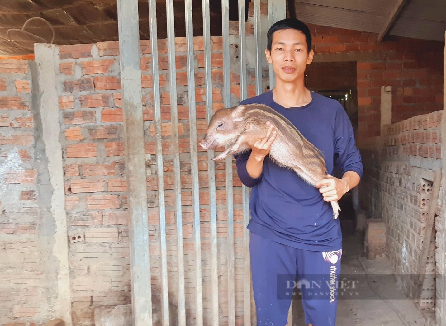 Nuôi con đặc sản “mặt dài như mặt ngựa”, ăn toàn rau xanh, 9X Đà Nẵng hễ nói bán là hết sạch- Ảnh 1.