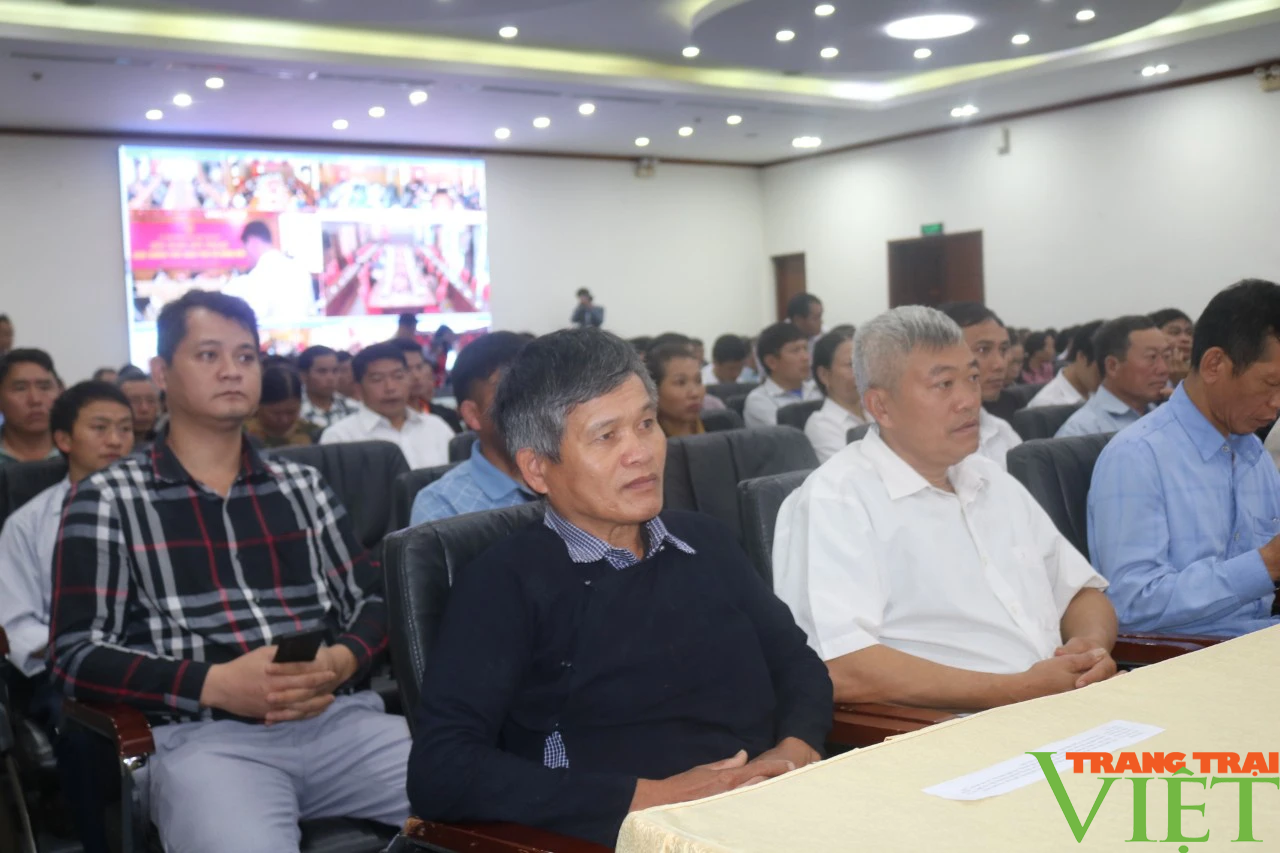 Khai mạc Hội nghị đối thoại trực tiếp giữa Thường trực UBND tỉnh Lào Cai với nông dân - Ảnh 4.