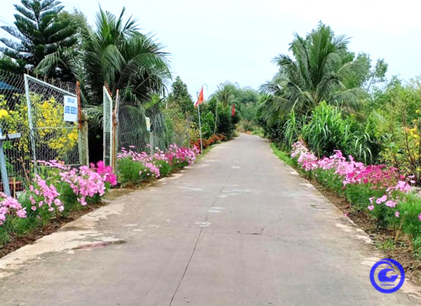 Đường hoa nông thôn mới đẹp mê tơi ở một nơi của Tiền Giang, dân tình qua lại tha hồ chụp hình - Ảnh 1.