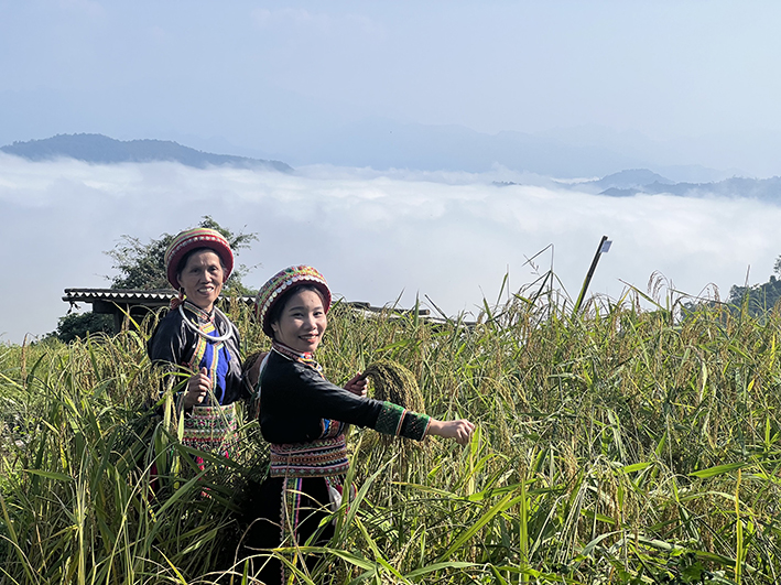 Vùng đất này ở Bắc Kạn có hồ nước ngọt nổi tiếng rộng 500ha, lên núi thấy mây trôi, bông lúa nếp to dài - Ảnh 3.